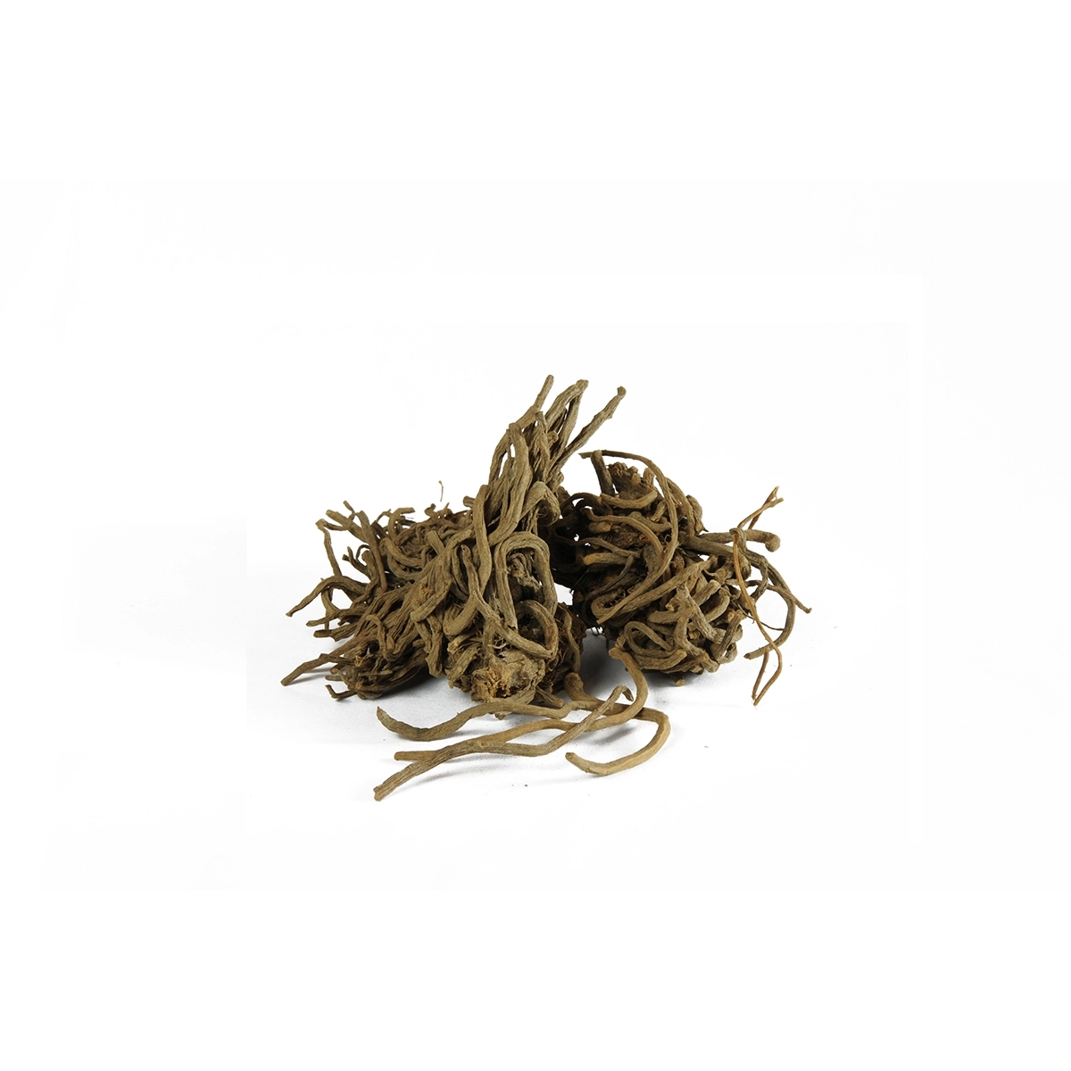 valeriana root
